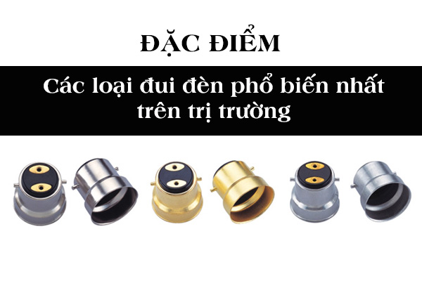 cac loai dui den 2